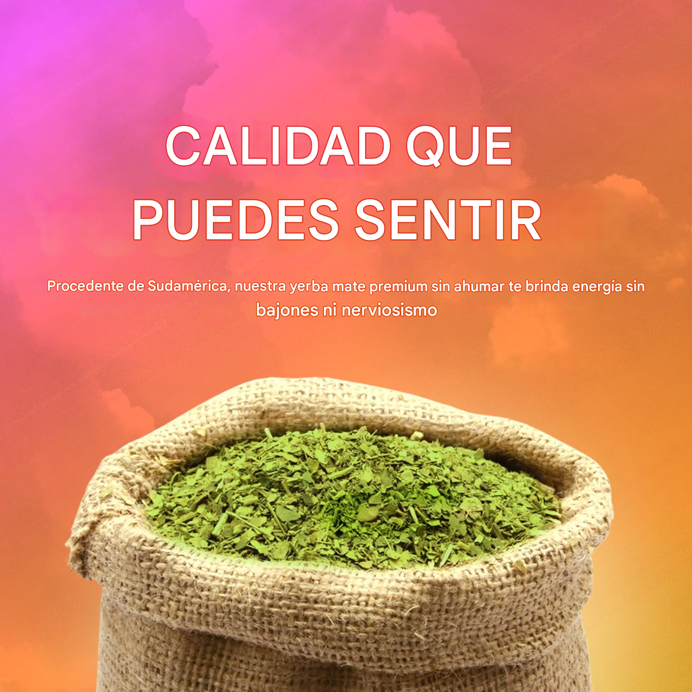 🌿💊 Yerba Magic – Cápsulas 100 % Yerba Mate 💥🧠