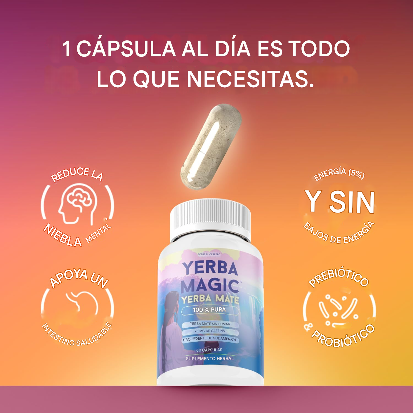🌿💊 Yerba Magic – Cápsulas 100 % Yerba Mate 💥🧠