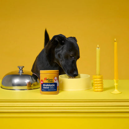 Probiotic Chews - Más colitas moviéndose, menos estómagos inflamados.