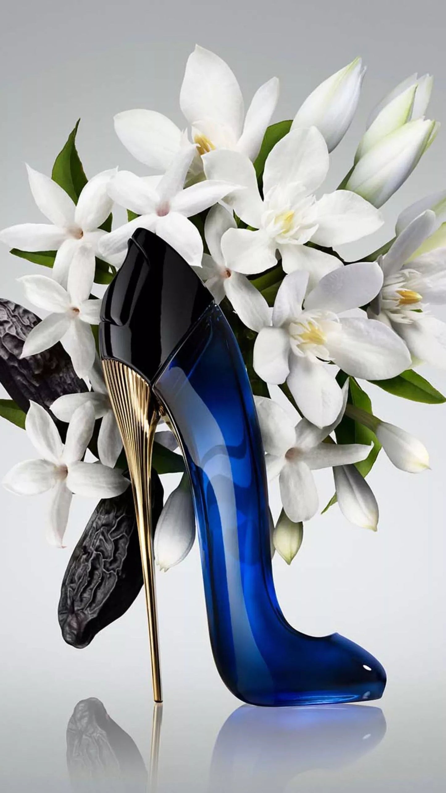 GOOD GIRL – CAROLINA HERRERA
