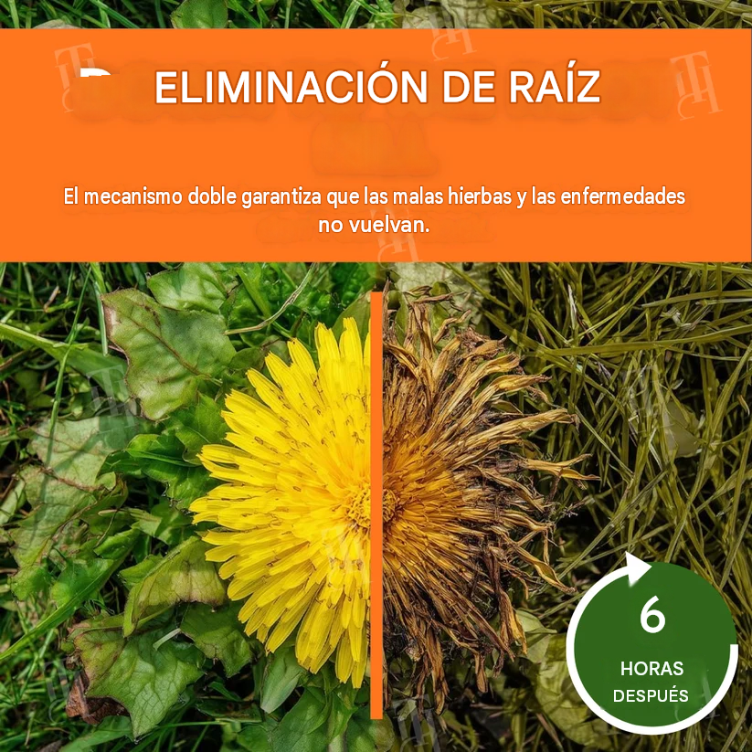 RootMax™ — Herbicida 2 en 1 de Acción Profunda | PROMOCIÓN 3 X 1