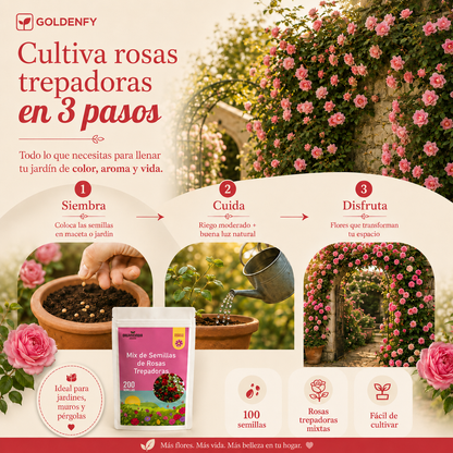 Semillas de Rosa Trepadora X 200 Semillas aprox. (5gr.)